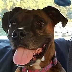 Meet your Posher, Danielle